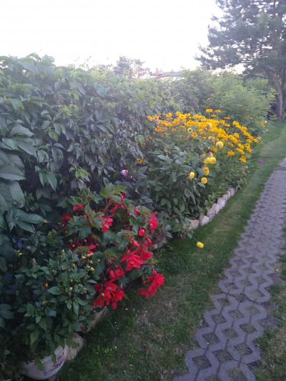 Najładniejsze ogrody, ogródki, balkony - cz. 1