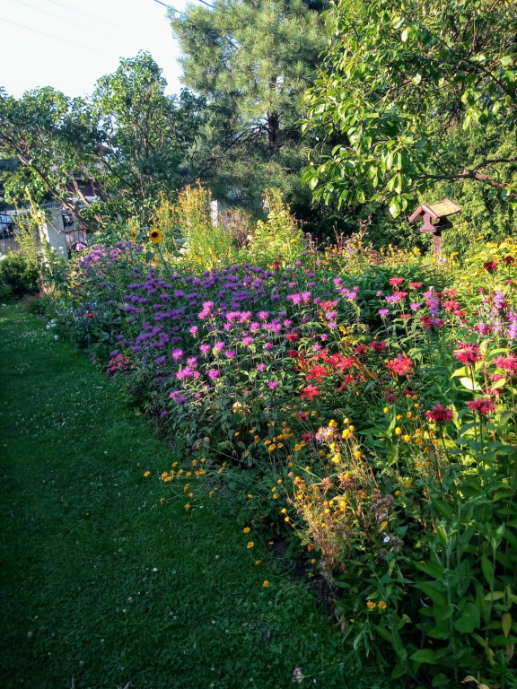 Najładniejsze ogrody, ogródki, balkony - cz. 1