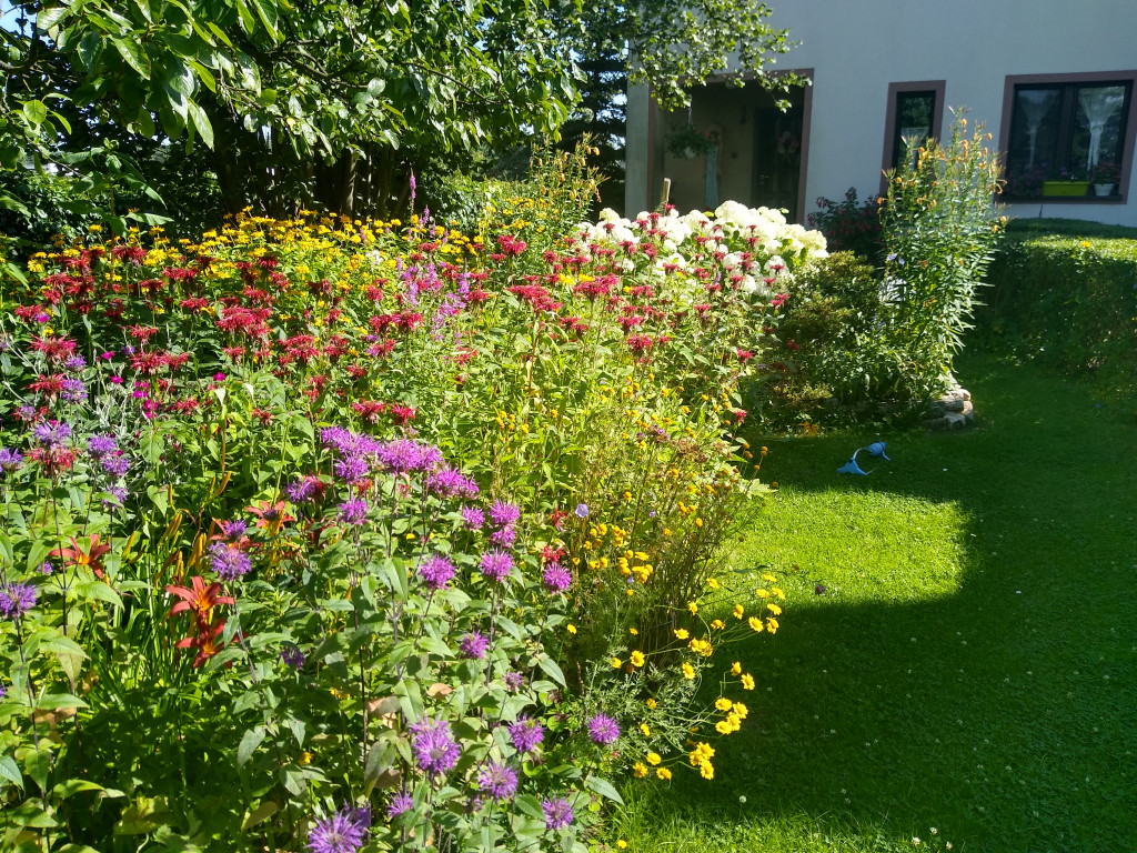 Najładniejsze ogrody, ogródki, balkony - cz. 1