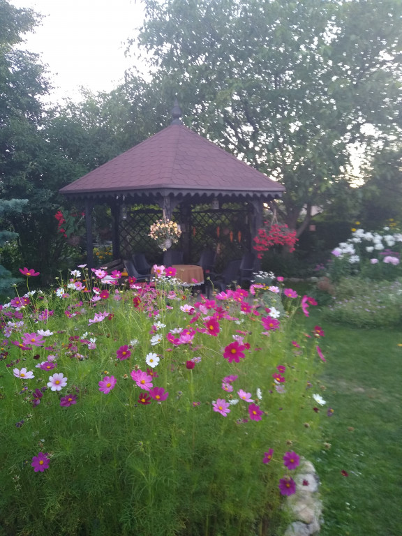 Najładniejsze ogrody, ogródki, balkony - cz. 1