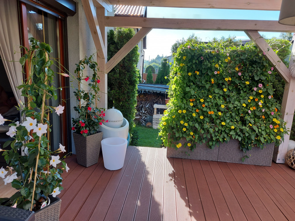 Najładniejsze ogrody, ogródki, balkony - cz. 1