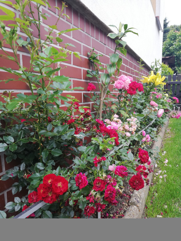 Najładniejsze ogrody, ogródki, balkony - cz. 2