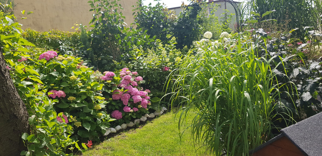 Najładniejsze ogrody, ogródki, balkony - cz. 2