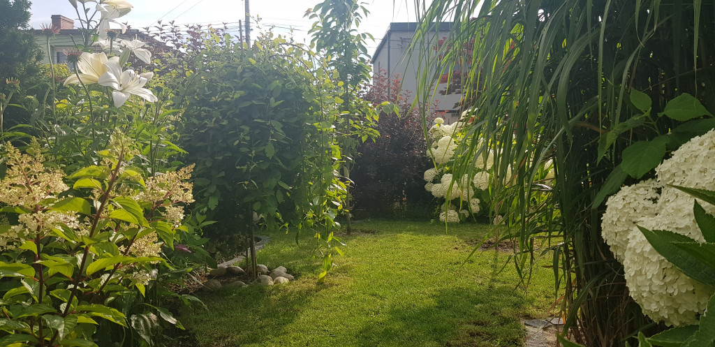 Najładniejsze ogrody, ogródki, balkony - cz. 2