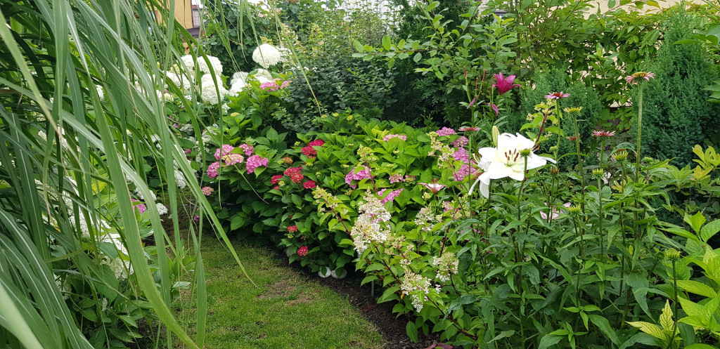 Najładniejsze ogrody, ogródki, balkony - cz. 2