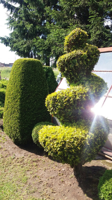 Najładniejsze ogrody, ogródki, balkony - cz. 2