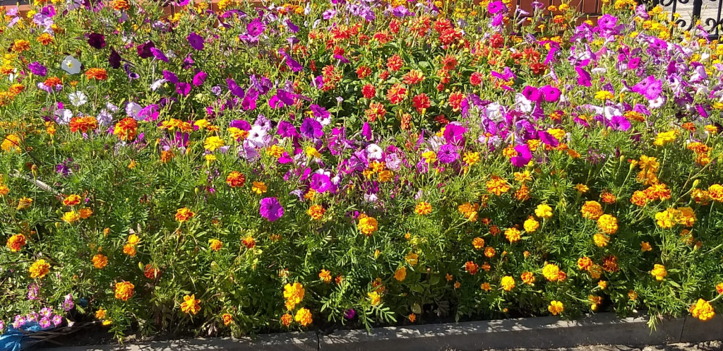Najładniejsze ogrody, ogródki, balkony - cz. 2