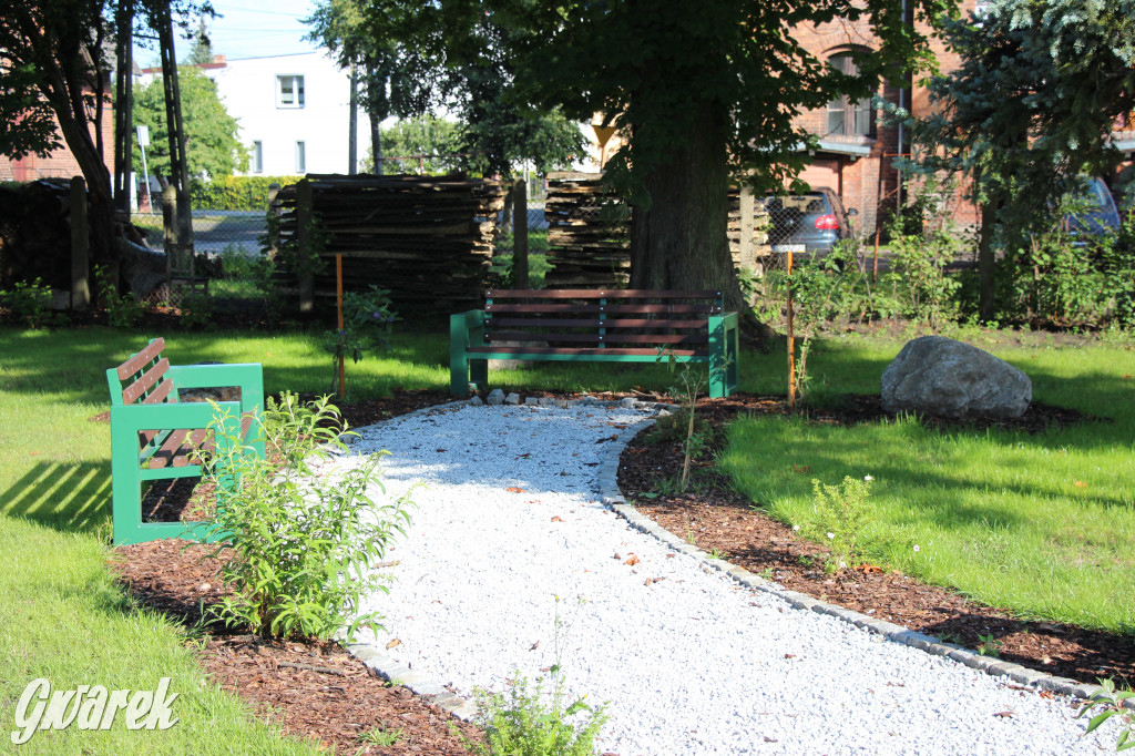 Lokalne stowarzyszenie zabrało się za Boruszowice