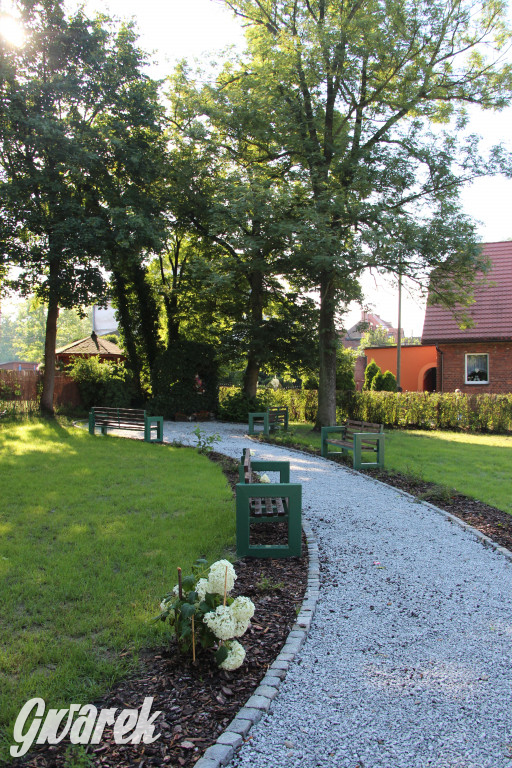 Lokalne stowarzyszenie zabrało się za Boruszowice