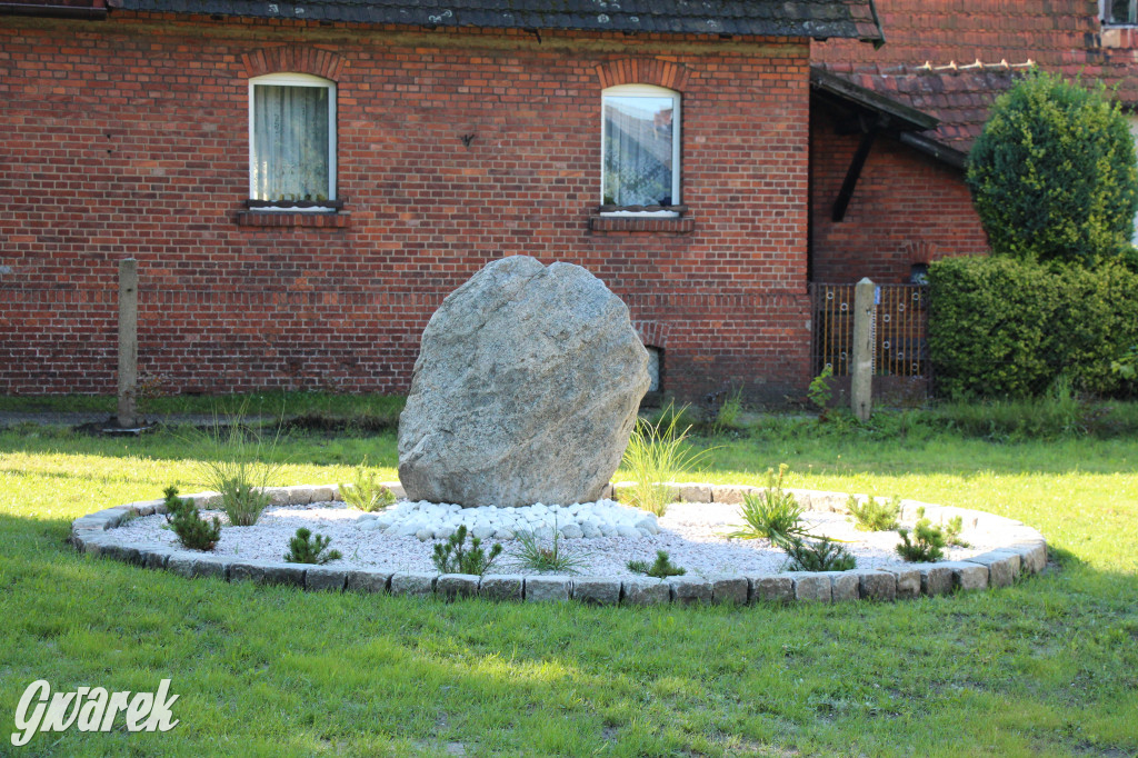 Lokalne stowarzyszenie zabrało się za Boruszowice