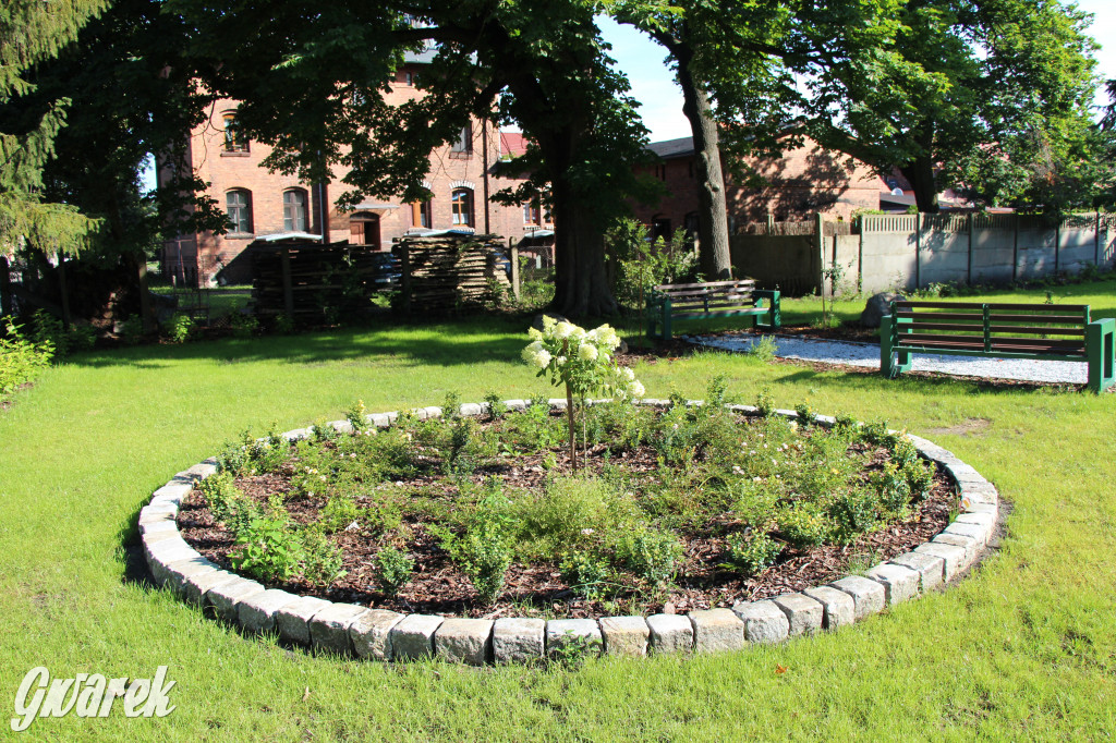 Lokalne stowarzyszenie zabrało się za Boruszowice