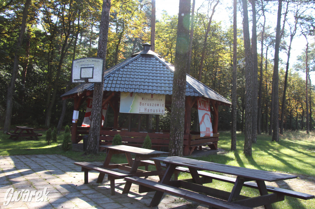Lokalne stowarzyszenie zabrało się za Boruszowice