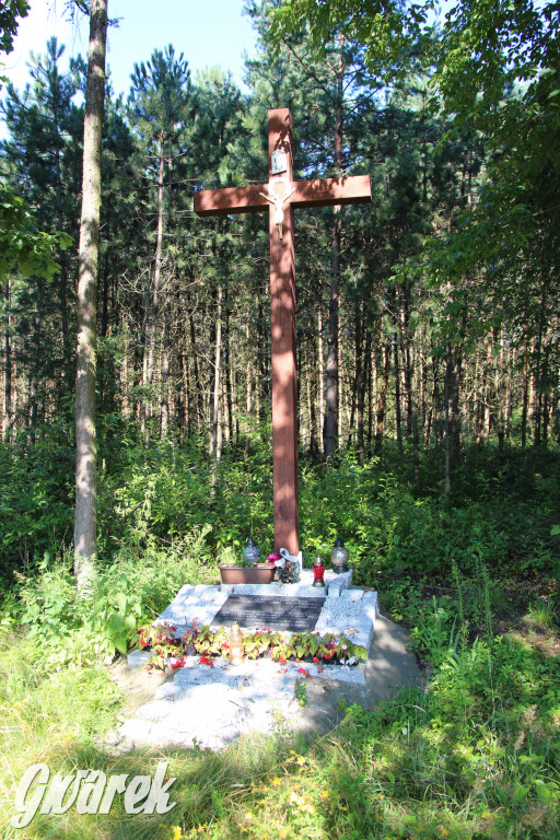 Lokalne stowarzyszenie zabrało się za Boruszowice