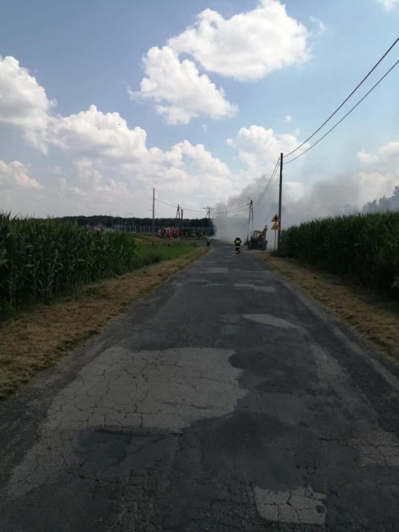 W południe w Szałszy