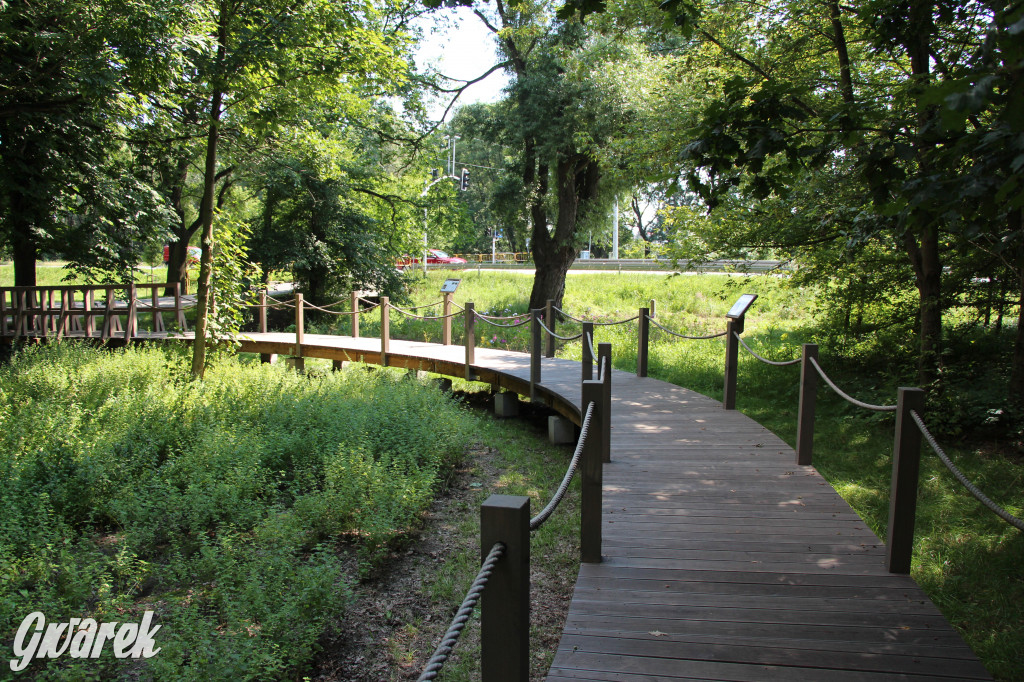 Park miejski w Pyskowicach robi wrażenie