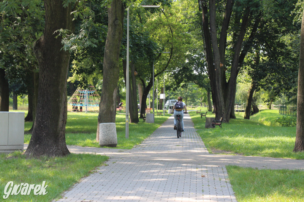 Park miejski w Pyskowicach robi wrażenie