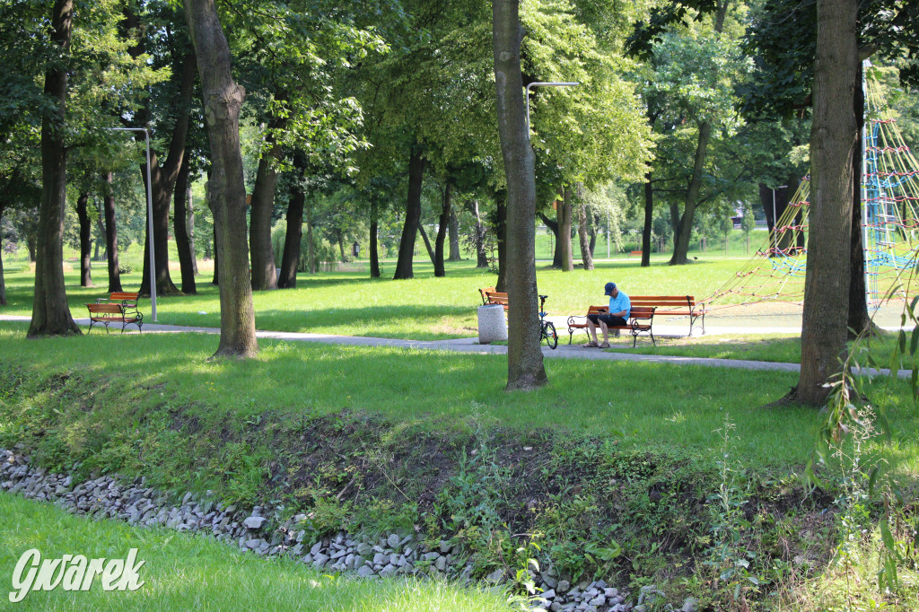 Park miejski w Pyskowicach robi wrażenie