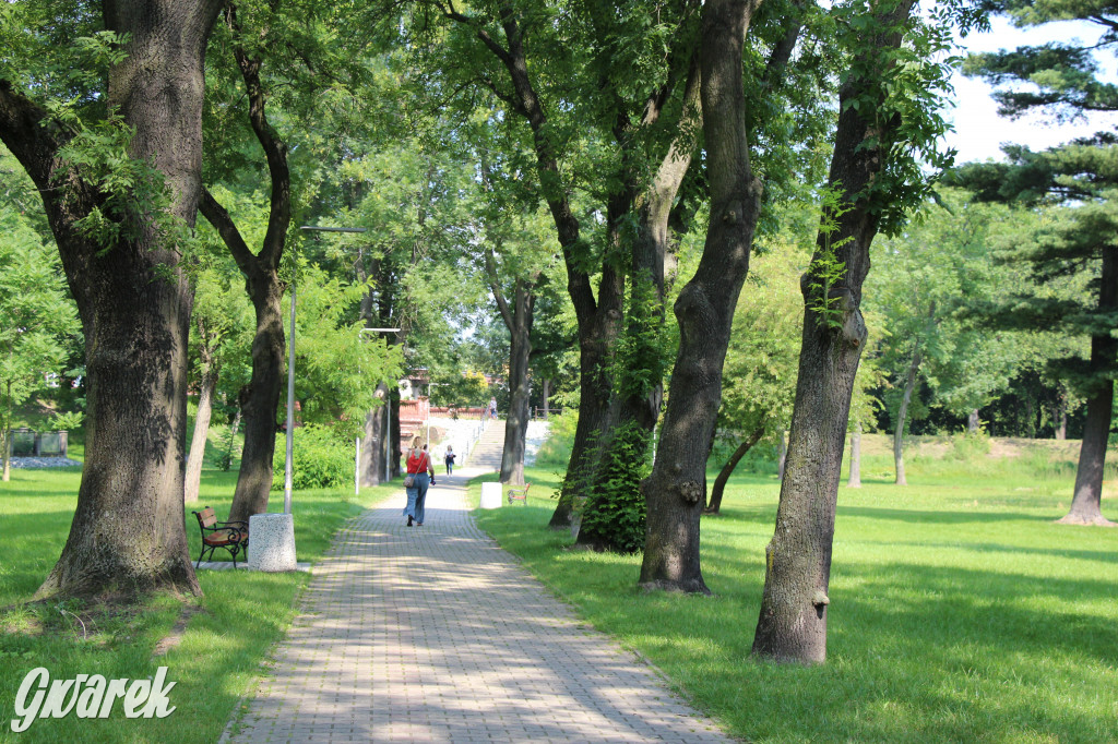 Park miejski w Pyskowicach robi wrażenie