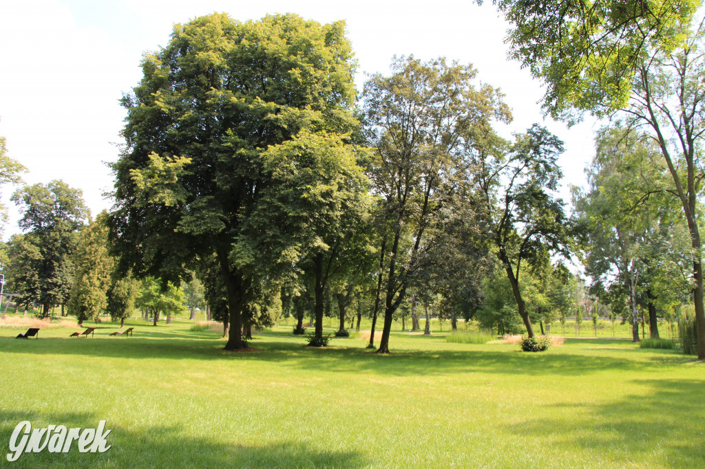 Park miejski w Pyskowicach robi wrażenie