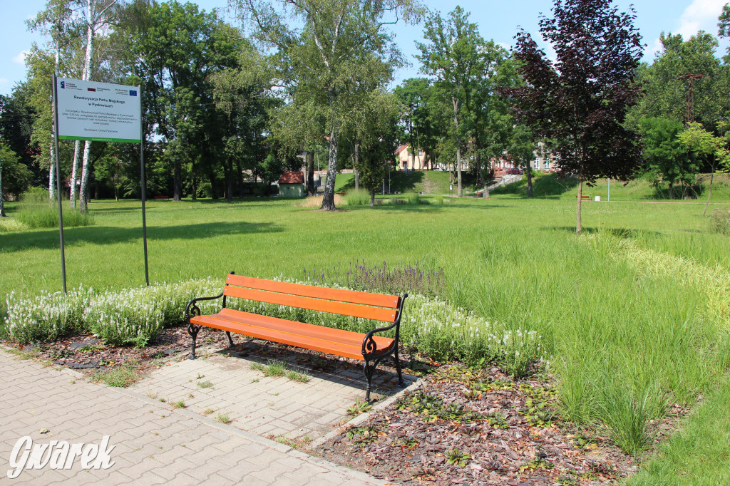 Park miejski w Pyskowicach robi wrażenie