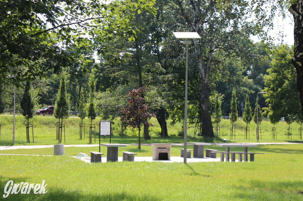 Park miejski w Pyskowicach robi wrażenie