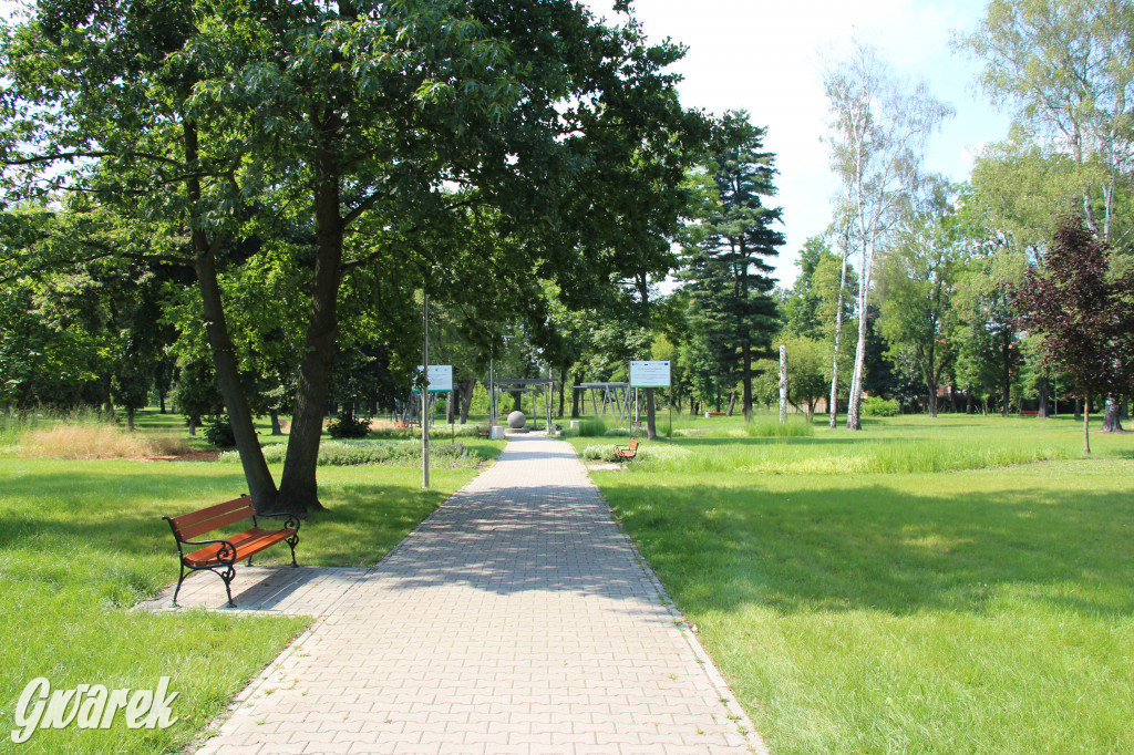 Park miejski w Pyskowicach robi wrażenie