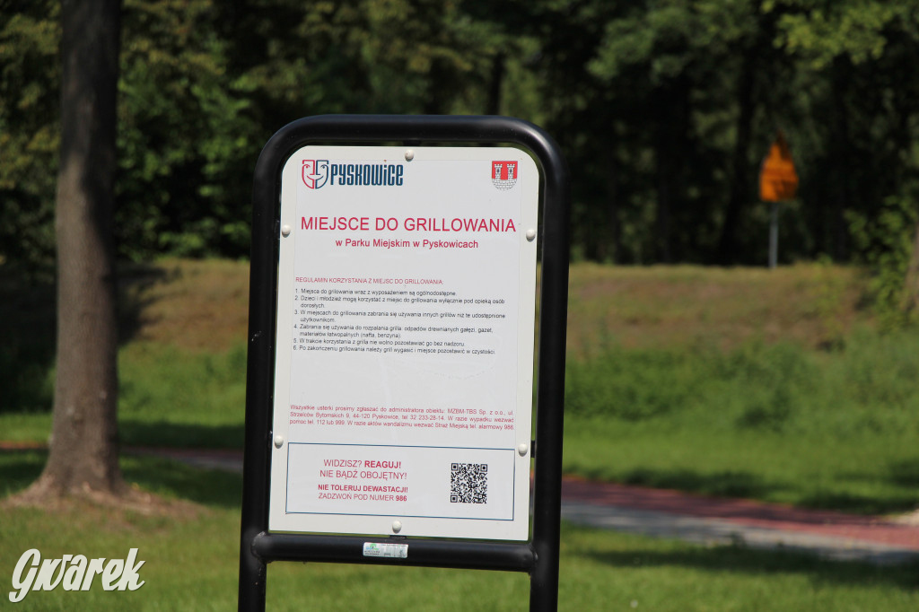 Park miejski w Pyskowicach robi wrażenie