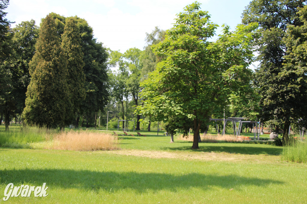 Park miejski w Pyskowicach robi wrażenie