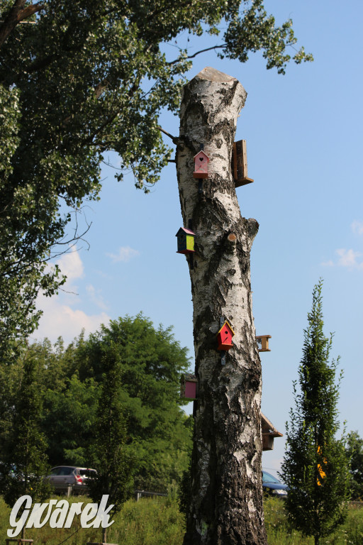 Park miejski w Pyskowicach robi wrażenie