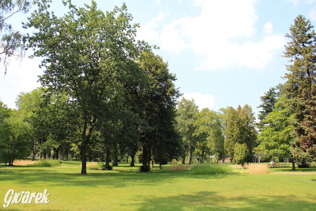 Park miejski w Pyskowicach robi wrażenie