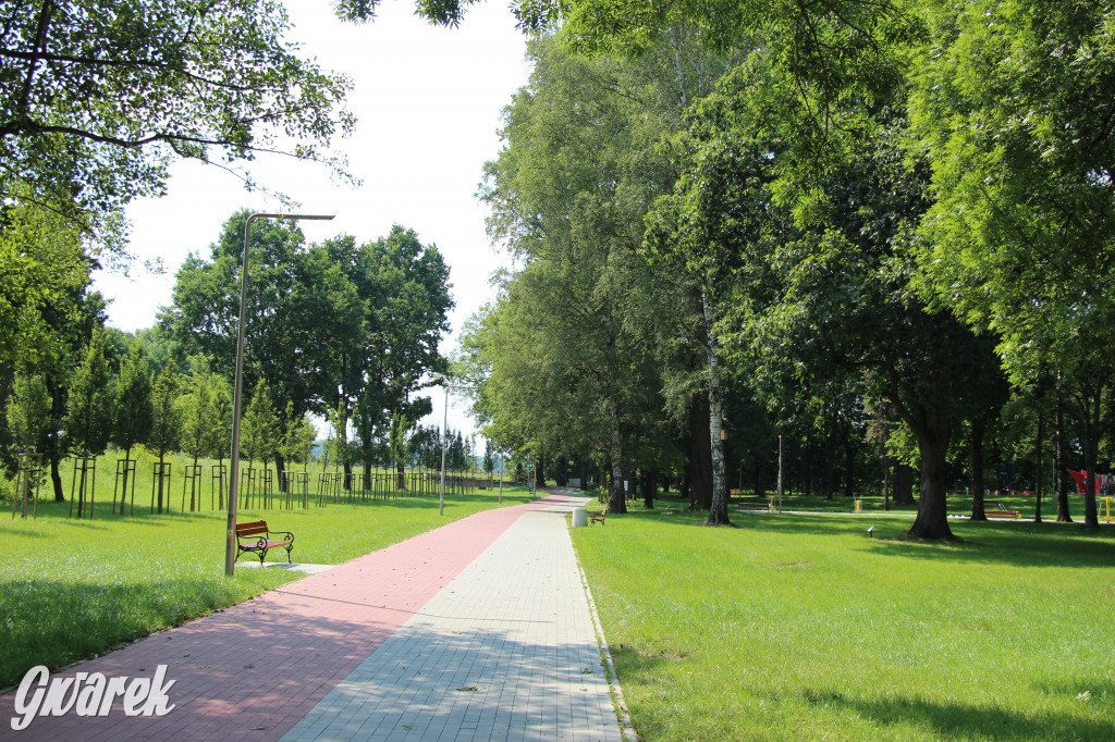 Park miejski w Pyskowicach robi wrażenie