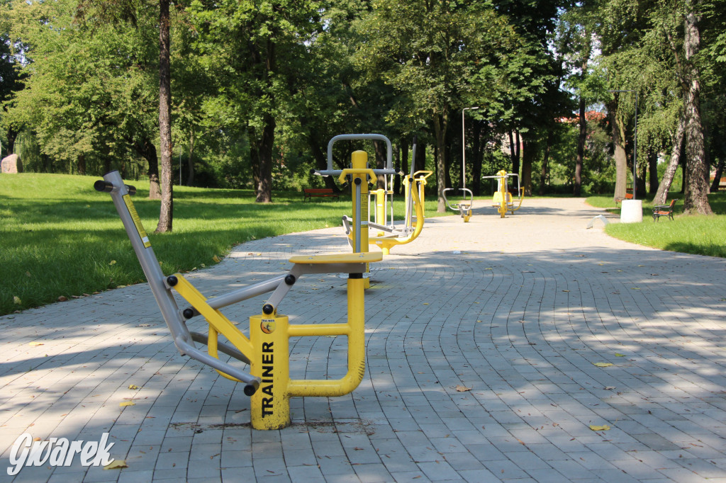Park miejski w Pyskowicach robi wrażenie