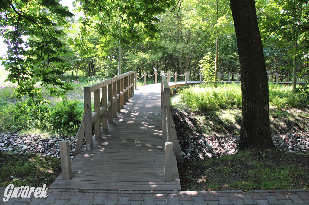 Park miejski w Pyskowicach robi wrażenie
