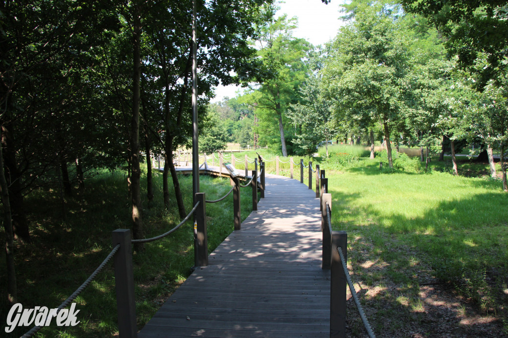 Park miejski w Pyskowicach robi wrażenie