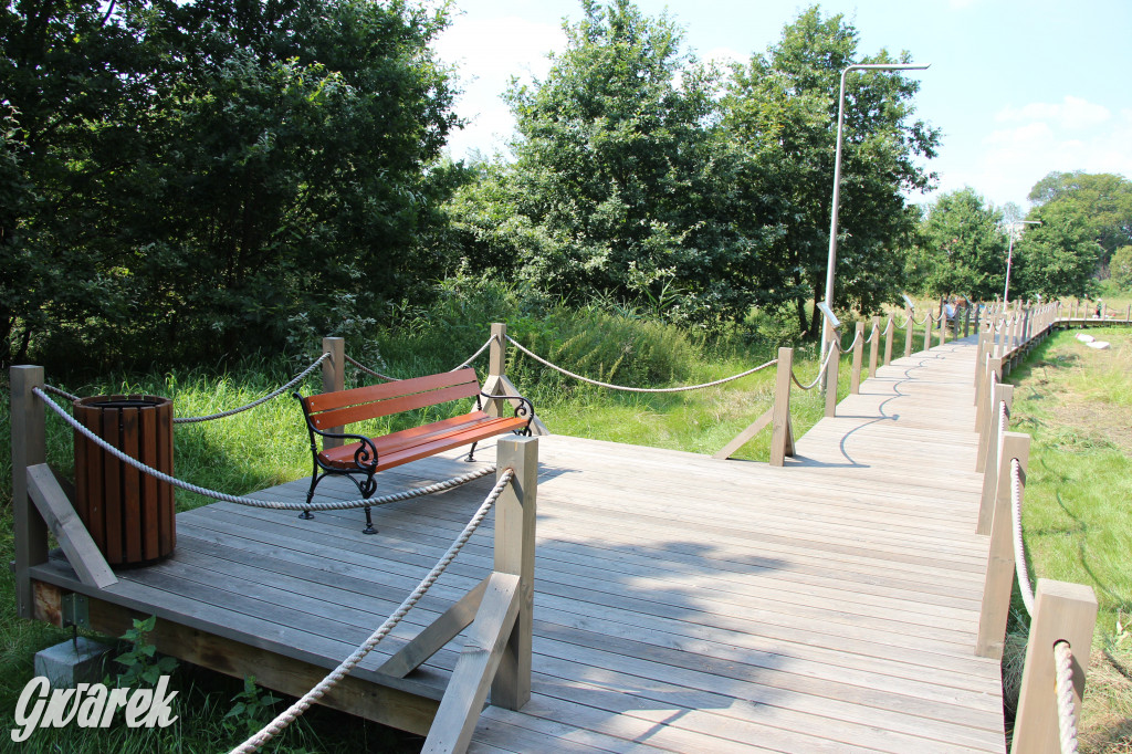 Park miejski w Pyskowicach robi wrażenie