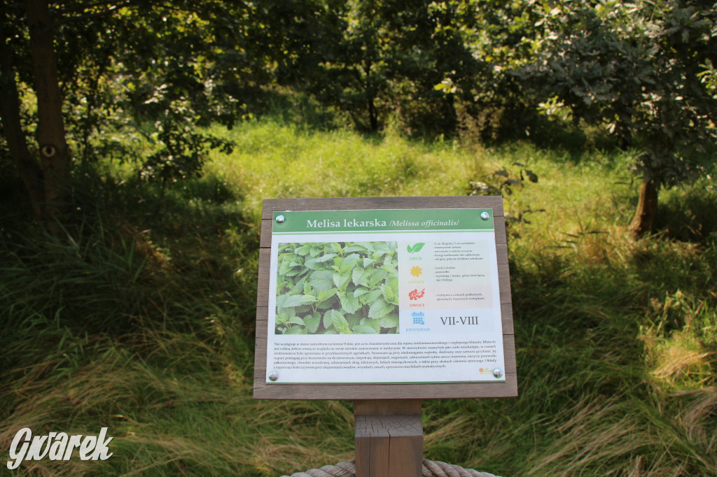 Park miejski w Pyskowicach robi wrażenie