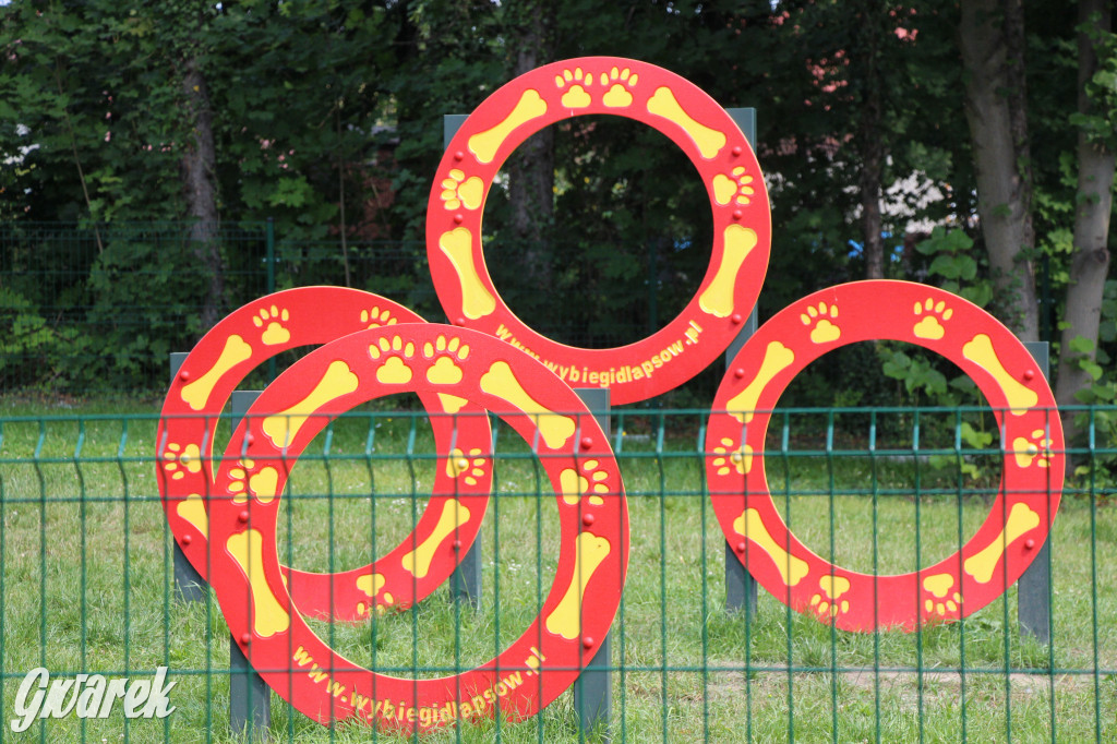 Park miejski w Pyskowicach robi wrażenie