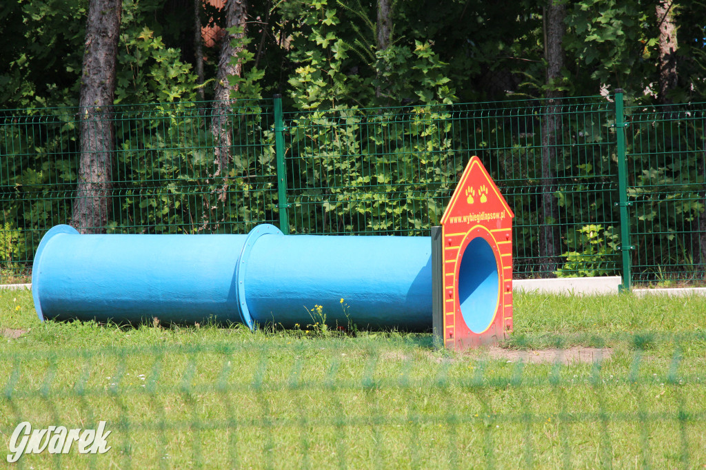 Park miejski w Pyskowicach robi wrażenie