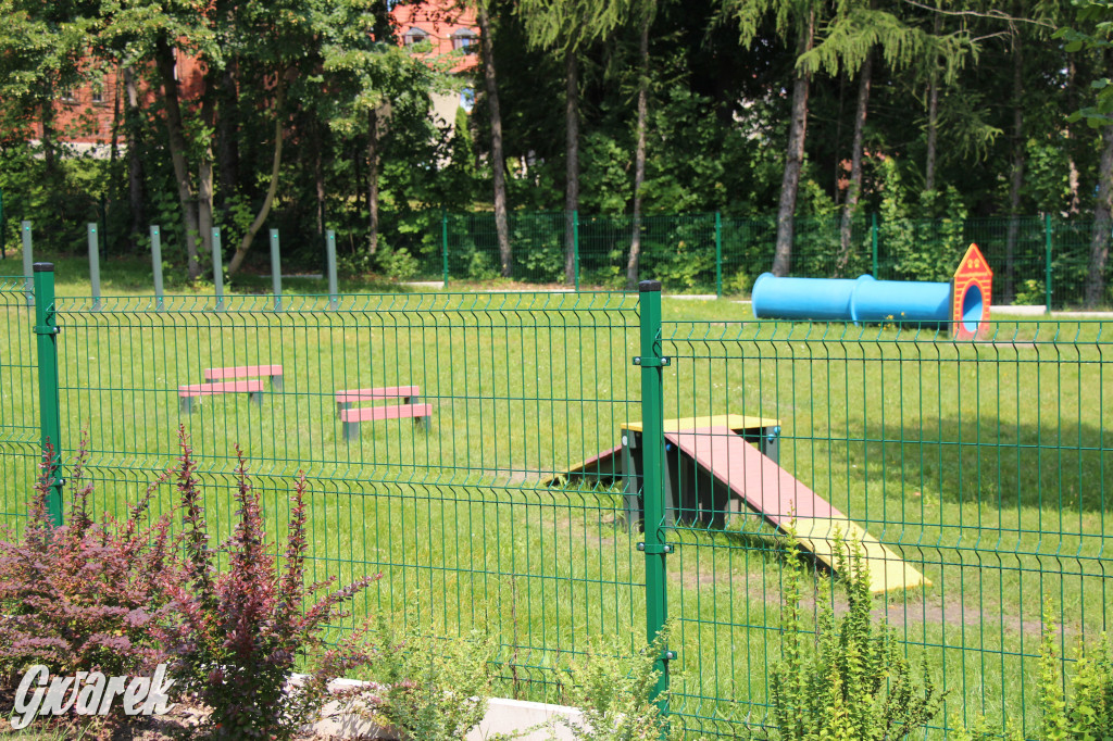 Park miejski w Pyskowicach robi wrażenie