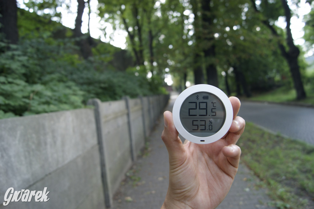 36 stopni Celsjusza na tarnogórskim Rynku