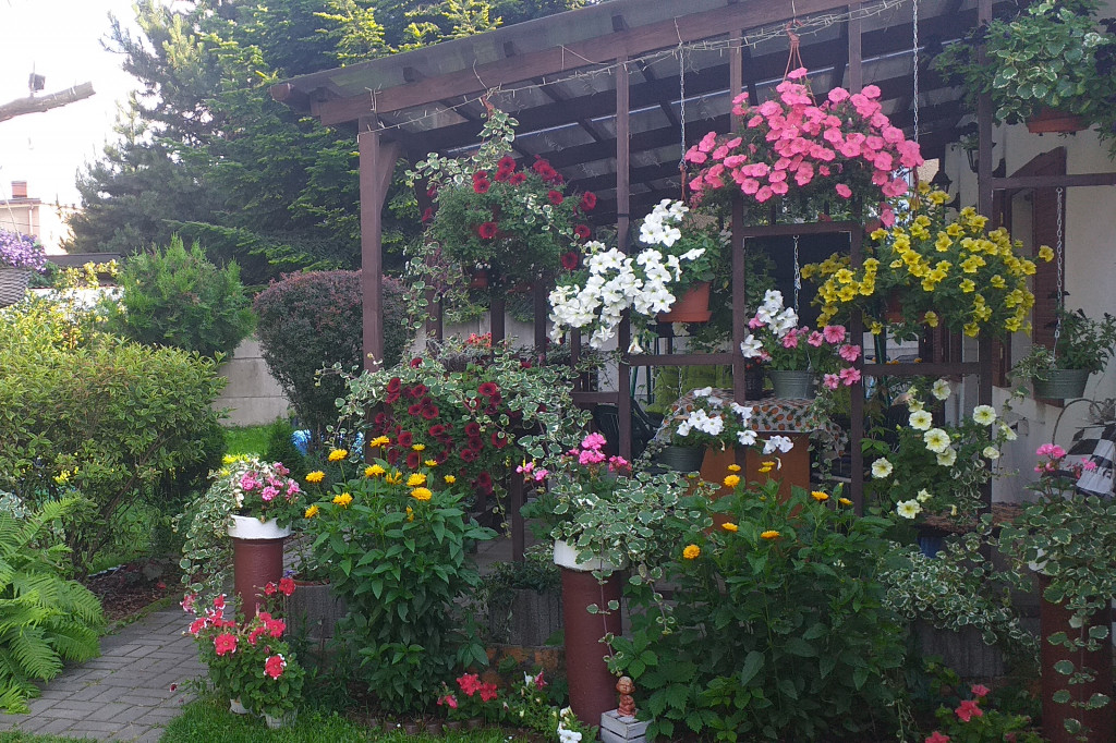 Najładniejsze ogrody. Laureaci