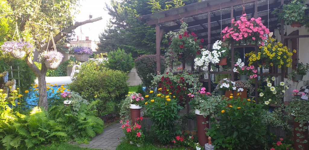 Najładniejsze ogrody. Laureaci