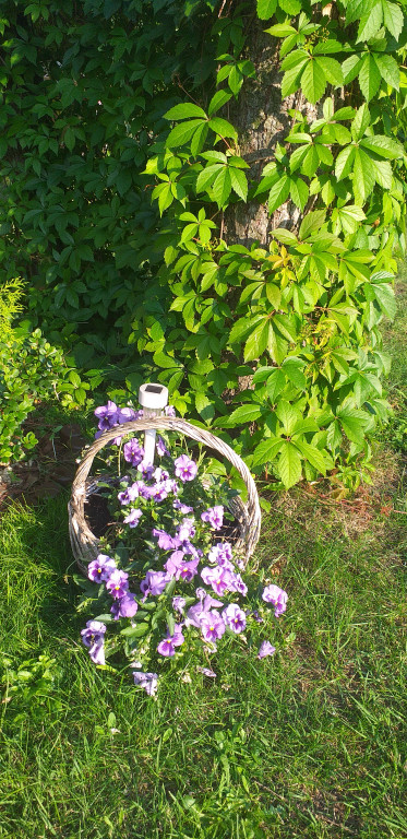 Najładniejsze ogrody. Laureaci