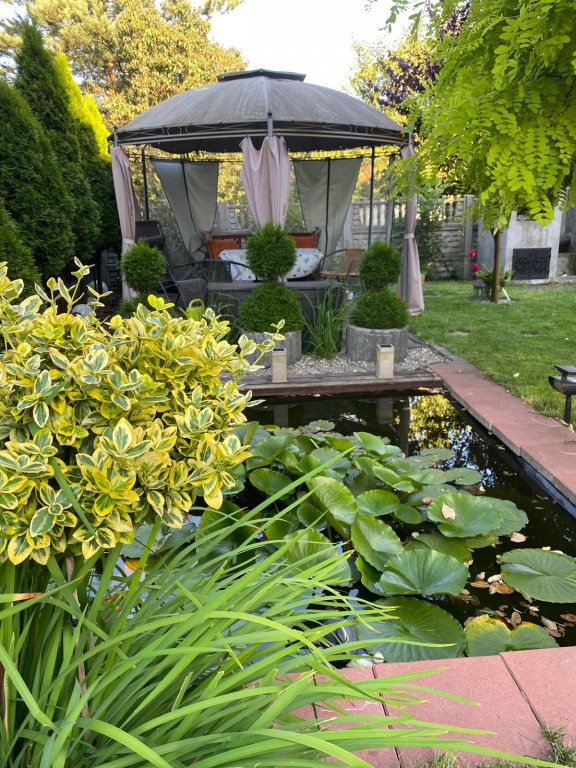 Najładniejsze ogrody. Laureaci