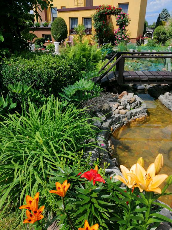 Najładniejsze ogrody. Laureaci