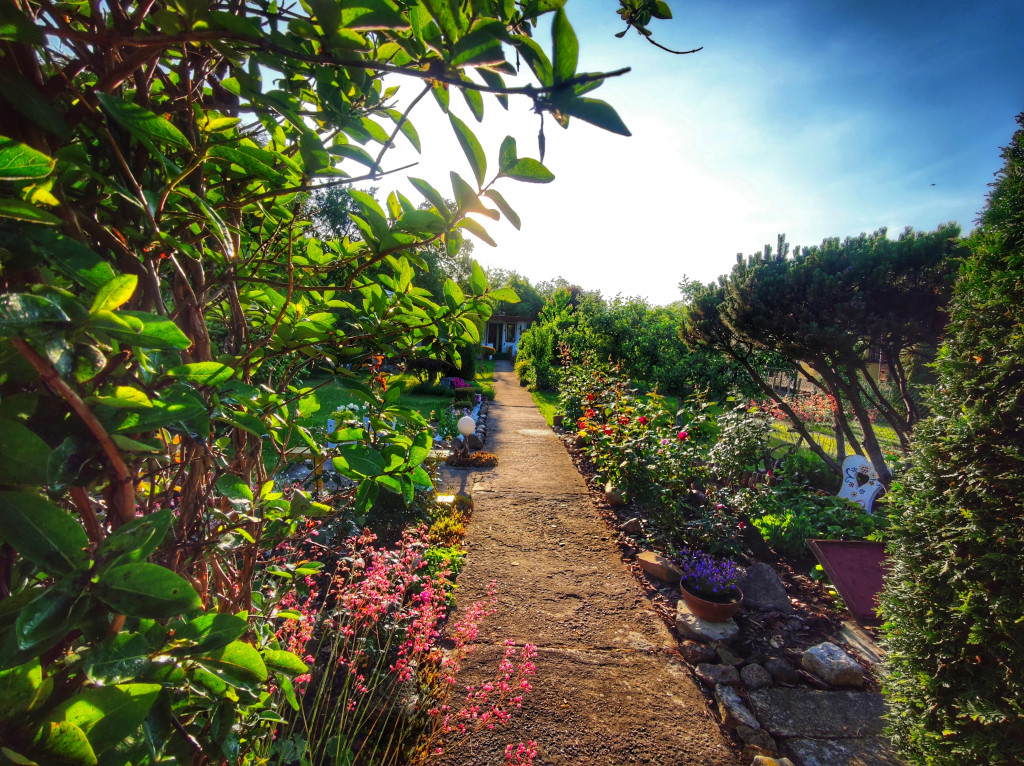 Najładniejsze ogrody. Laureaci