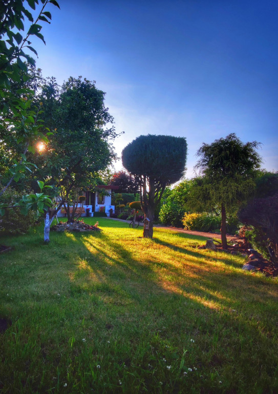 Najładniejsze ogrody. Laureaci