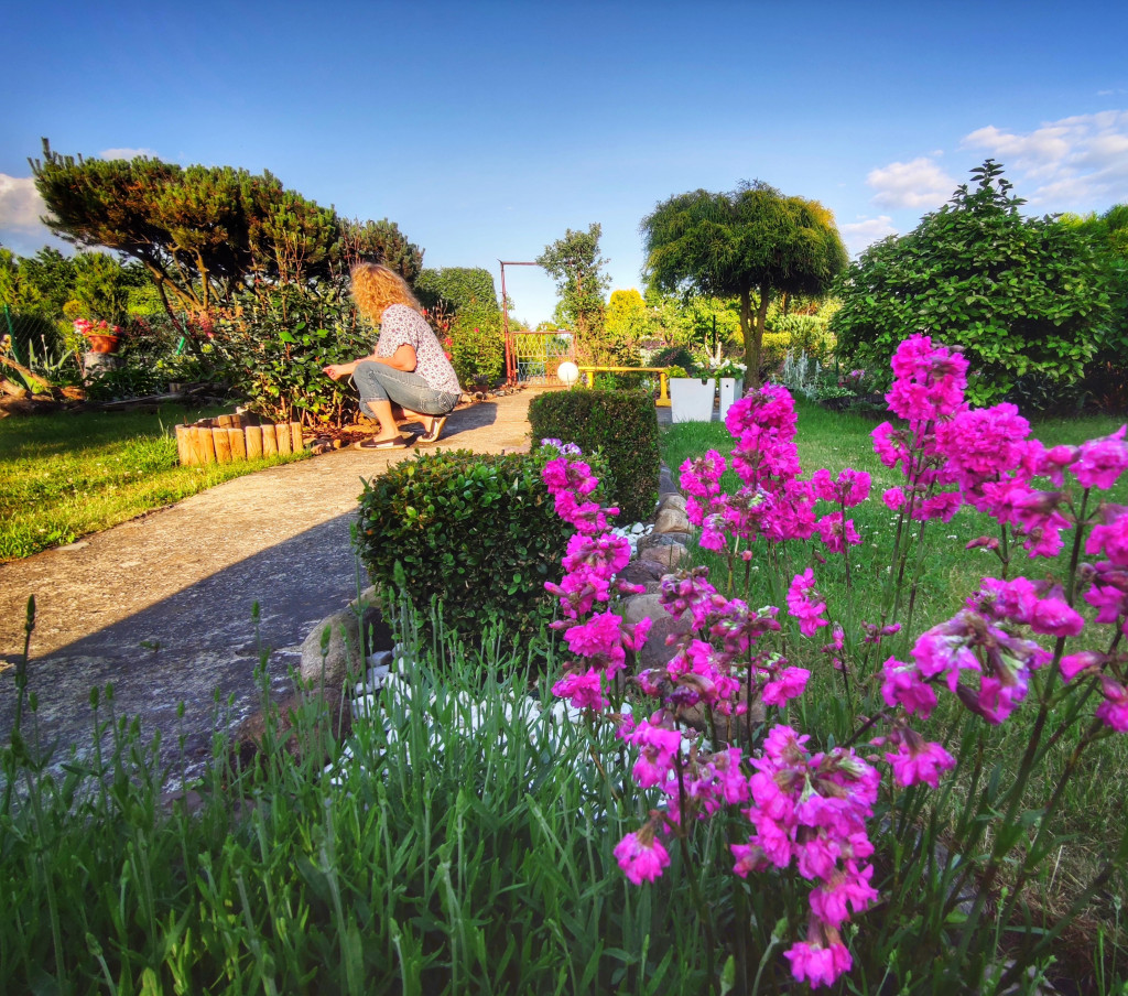 Najładniejsze ogrody. Laureaci