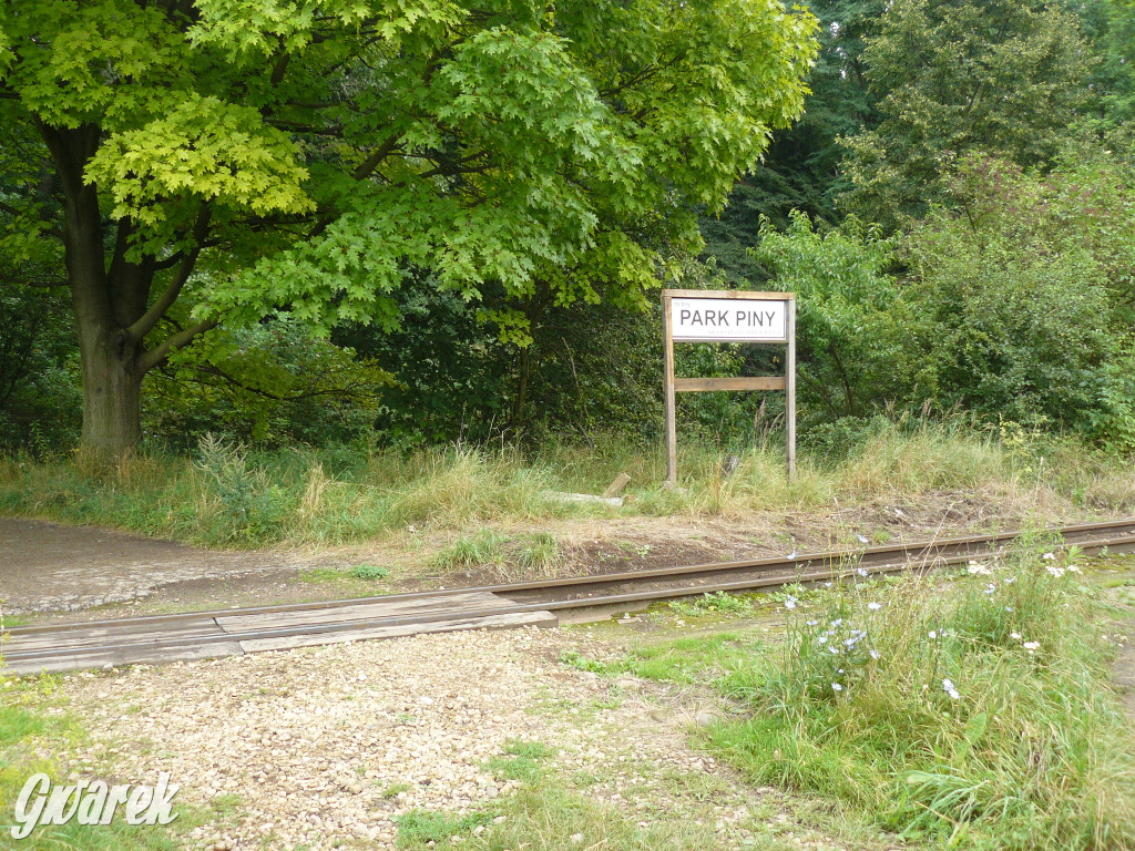 Tarnowskie Góry. Spacer po parku Piny