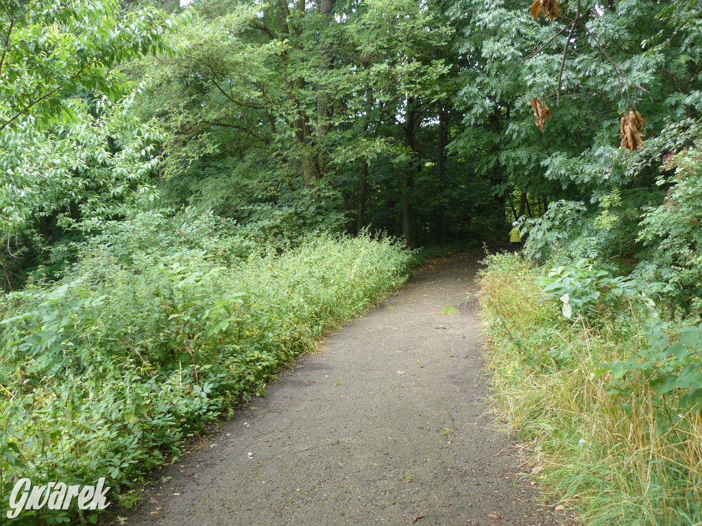 Tarnowskie Góry. Spacer po parku Piny